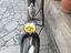 Immagine 6
