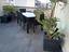 Immagine 26