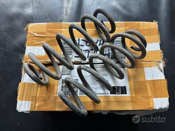 Molle posteriori Smart 451