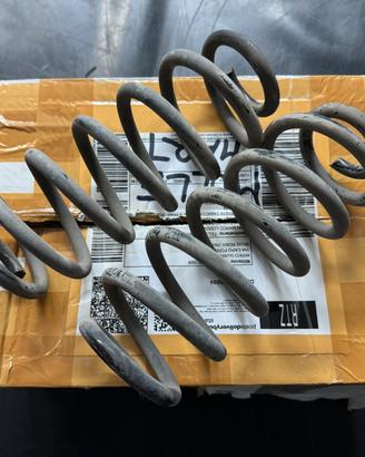 Molle posteriori Smart 451