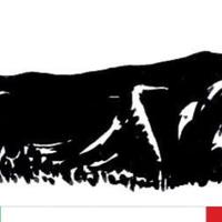 Setter inglese-Épagneul Breton-Springer Spaniel