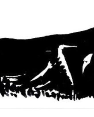 Setter inglese-Épagneul Breton-Springer Spaniel