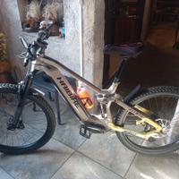 bici elettrica 