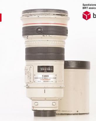 Canon EF 300 F2.8 L IS USM (Canon)