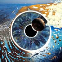 Pink Floyd - Discografia Completa (18 CD) + Pulse