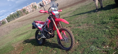 Honda CRF 300 L Dual Sport pronto Adventuring