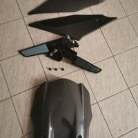 R1 Carbonio/Specchi