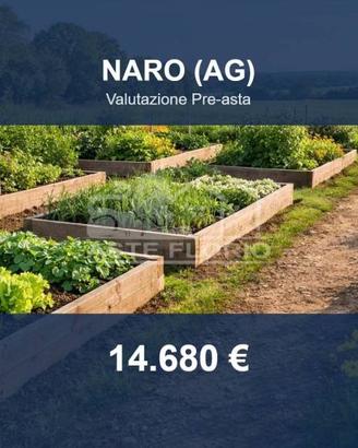 Immobile in asta di 11970 m² a Naro