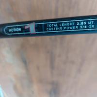 Canne da pesca trota