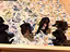 Immagine 4