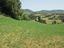 Immagine 7