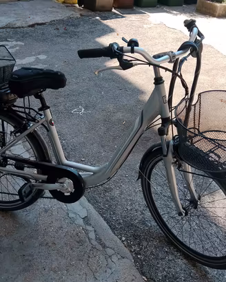 bicicletta elettrica 