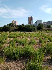 TERRENO EDIFICABILE SASSARI 
