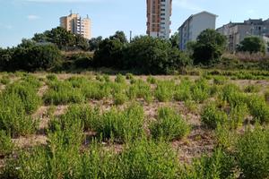 TERRENO EDIFICABILE SASSARI 