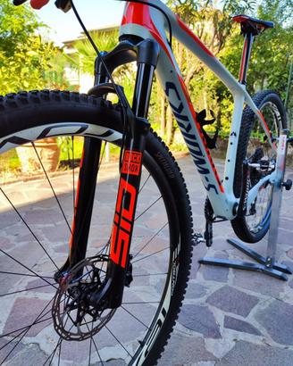Mtb S-WORKS HT stumpjumper 29 World Cup taglia L