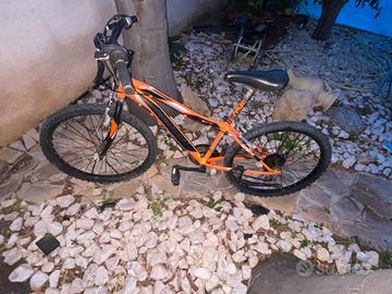 Bici casadei