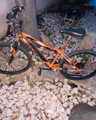 Bici casadei
