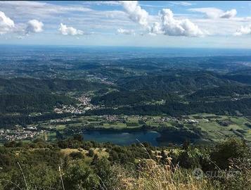 Terreno a bosco e prato