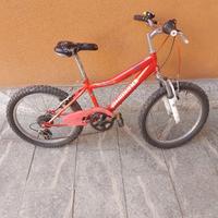 Bicicletta Mountan Bike