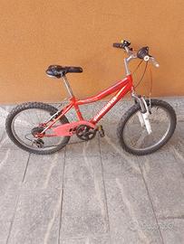 Bicicletta Mountan Bike