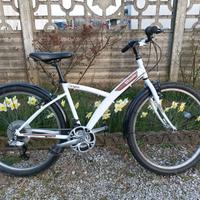 Bicicletta city bike