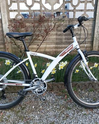 Bicicletta Mountain bike 