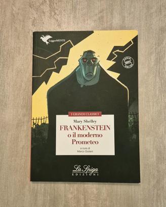 Frankenstein - Mary Shelley (La Spiga)