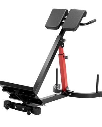 Panca back extension / romana