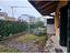 Immagine 11