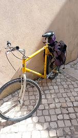 Bicicletta Giant ATX 860
