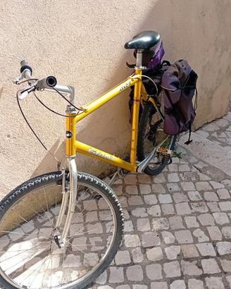 Bicicletta Giant ATX 860