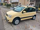 fiat-panda-1-3-mjt-16v-4x4-neopatentati