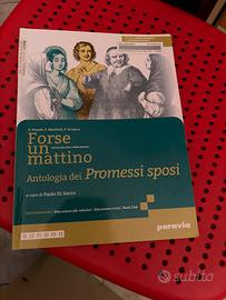 forse un mattino, antologia dei promessi sposi