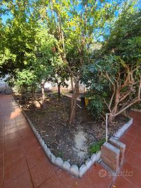 Quartu centro casa con ampio giardino