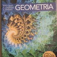 Libro di Geometria ed algebra lineare