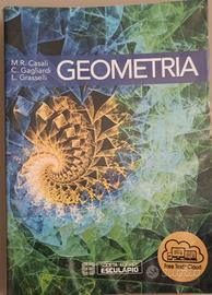 Libro di Geometria ed algebra lineare