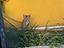 Immagine 4