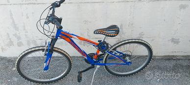Bicicletta