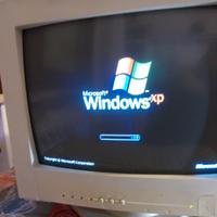 MONITOR ASUS CRT COLORI 14 POLLICI