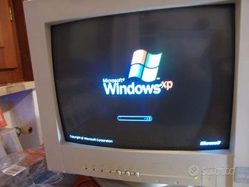 MONITOR ASUS CRT COLORI 14 POLLICI