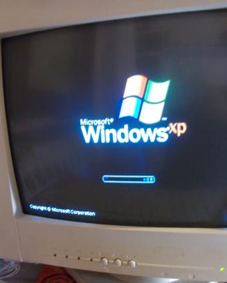 MONITOR ASUS CRT COLORI 14 POLLICI