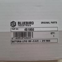 Batterie motosega elettrica bluebird
