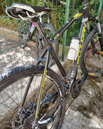 Coppia biciclette uomo/donna