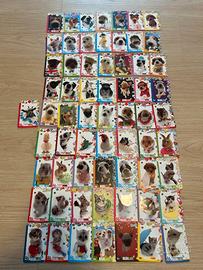 62 carte Amici Cucciolotti