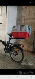 Trasportino bicicletta 