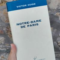 Libro Notre dame de Paris di Victor Hugo