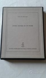 Storia minima di un fiore - Carla Di Pancrazio