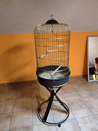 gabbia uccelli 