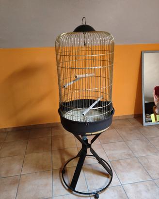 gabbia uccelli 