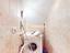 Immagine 12